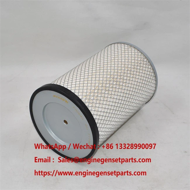Primary Air Filter PA2645 best